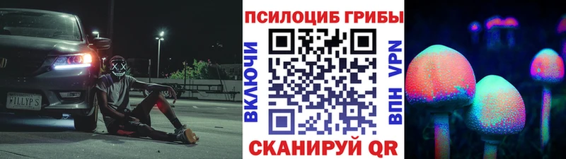 Псилоцибиновые грибы мухоморы  купить наркотик  нарко площадка телеграм  Армянск  гидра ССЫЛКА 